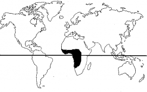 SAMBA procedencia