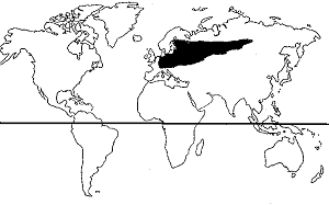 mapa-pino-abeto